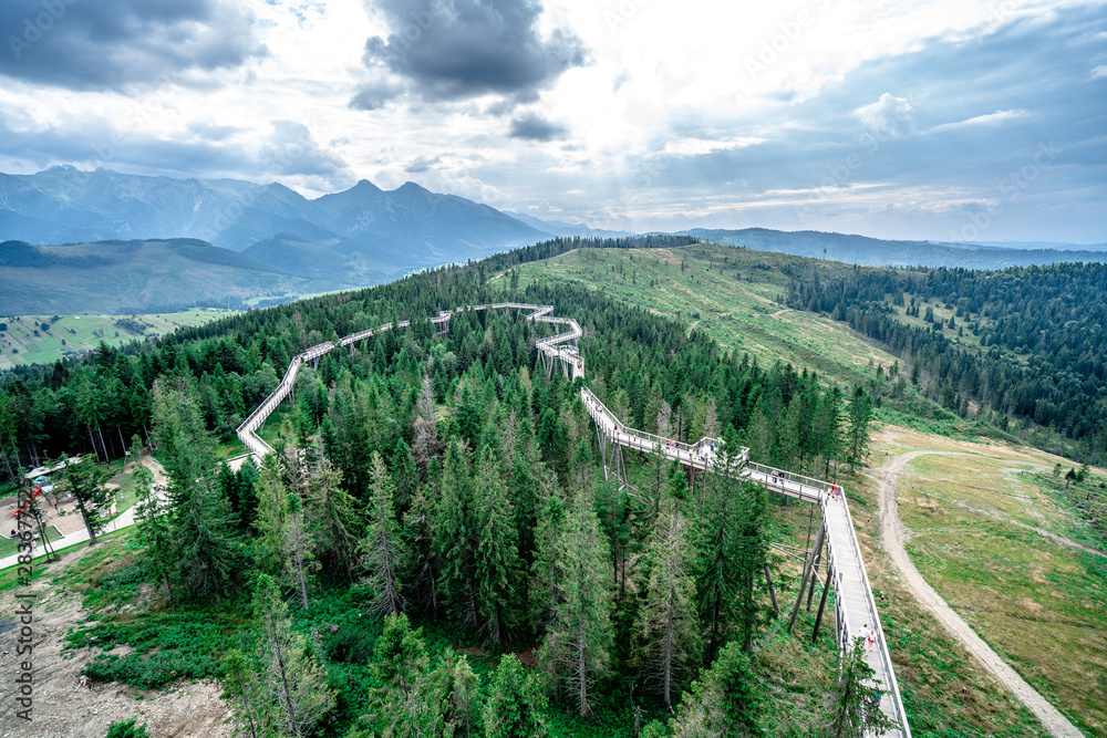 Tree-top footbridge. Bachledka. Slovakia Tree-top footbridge. Bachledka. Slovakia