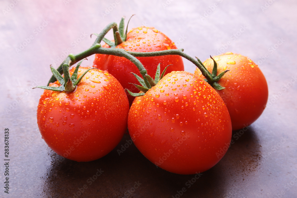 Tomato branch with Very fresh and delicious red tomatoes Tomato branch with Very fresh and delicious red tomatoes
