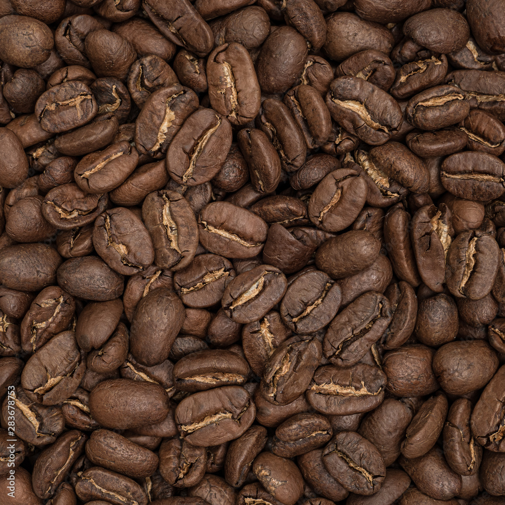 Fototapeta premium Maragogipe coffee beans closeup for texture or background, top view