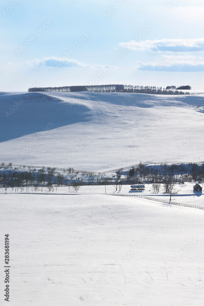 北海道中標津町の雪景色