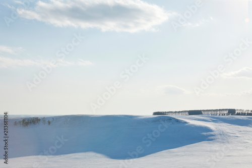 北海道中標津町の雪景色 © ura ho