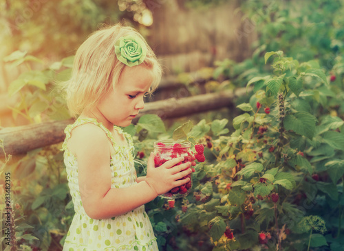 Little girl with a can of harvested ripe raspberry berry in a garden with raspberry bushes.