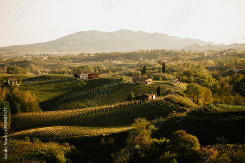 Canvastavla Prosecco Land 2019