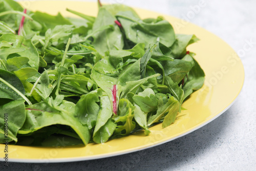 A plate with green salad 