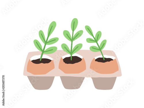 Sprouts or seedlings growing in pots or planters isolated on white background