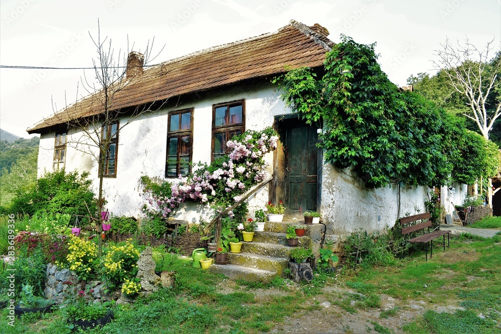 old house with garden