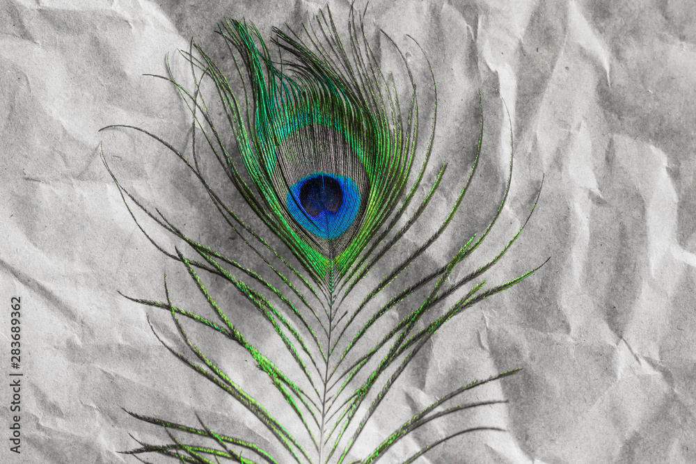 Obraz premium Peacock feather close-up on crumpled brown paper, abstract background, selective focus