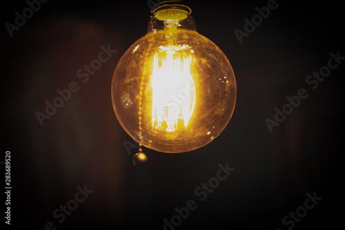 照明・アイディアイメージ素材：レトロなデザインのエジソンバルブ電球