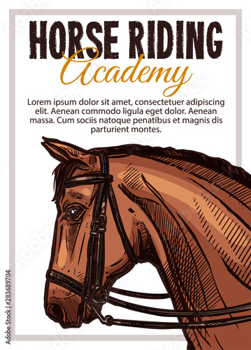 Horse riding academy vector hand drawn poster. Sketch illustration