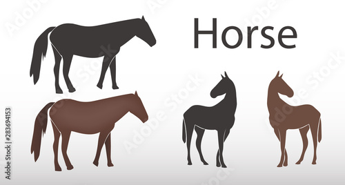 Horse icon. Vector illustration. Simple design.