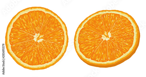 Realistic Ripe and Fresh Orange Slice Vector on iSolated White Background