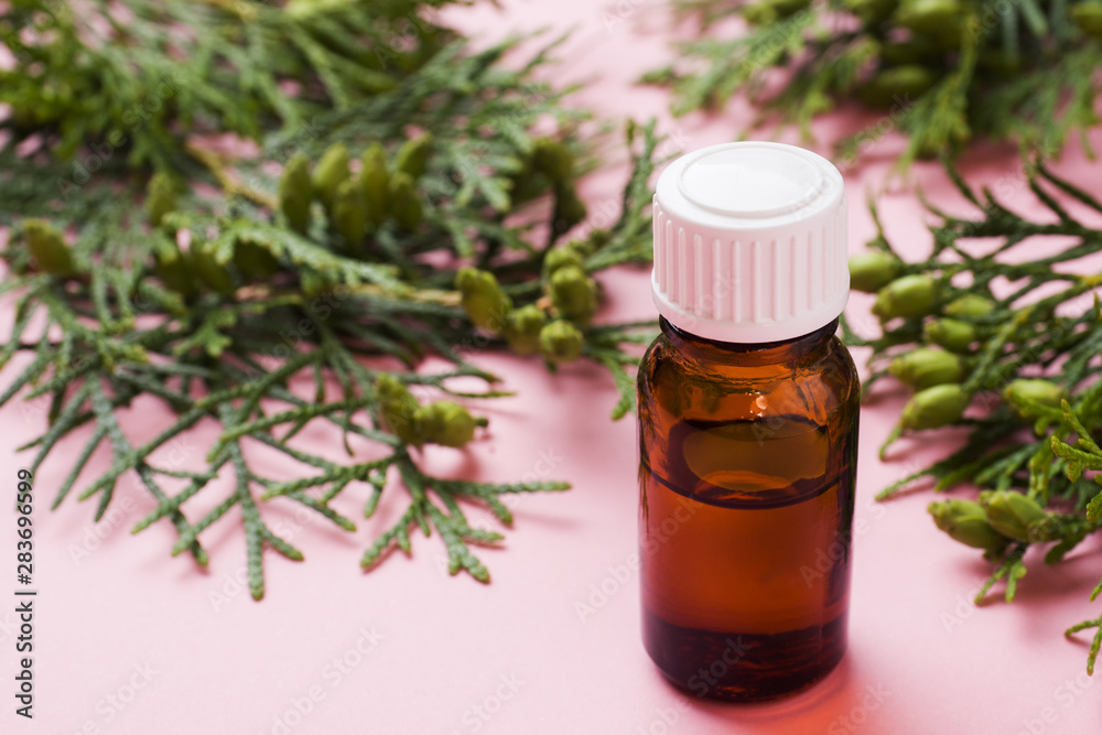 Thuja aroma essential oil in a glass jar on a pink background. Copy space. Selective focus. Thuja aroma essential oil in a glass jar on a pink background. Copy space. Selective focus.