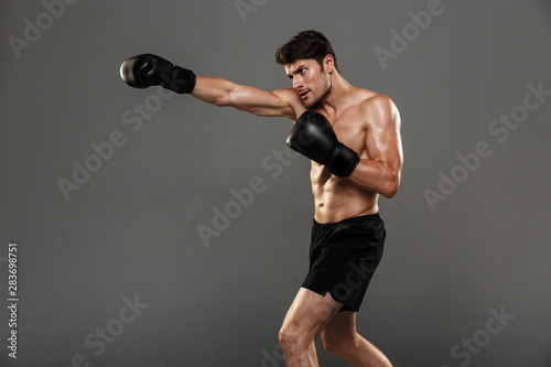 Serious handsome young strong sportsman boxer in gloves make exercises boxing isolated over grey wall background.