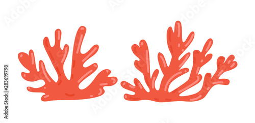Coral set isolated on white background. 