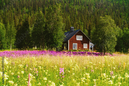 idyllic house at the foot of the mountain seen from the perspective of a colorful meadow. Sweden. Lapland