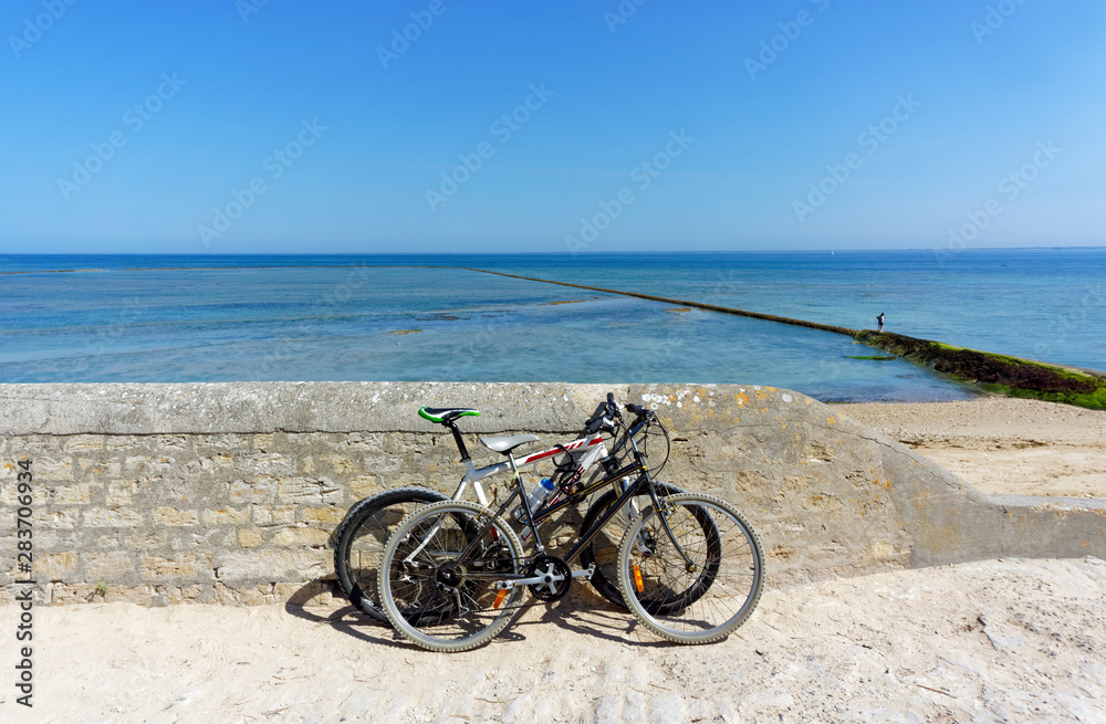 Fototapeta premium Île de Ré coast in Charente Maritime