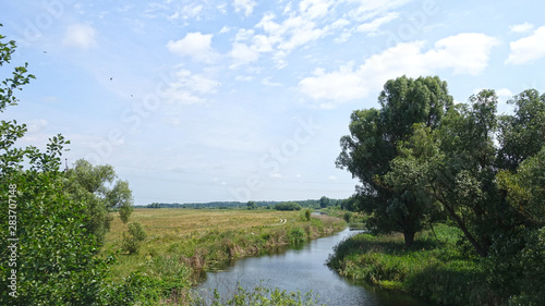 Small river in the countryside  summer day