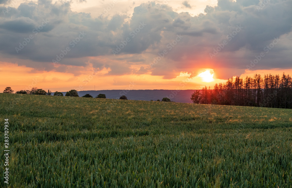 Fototapeta premium The landscape in Low Saxony, Germany.