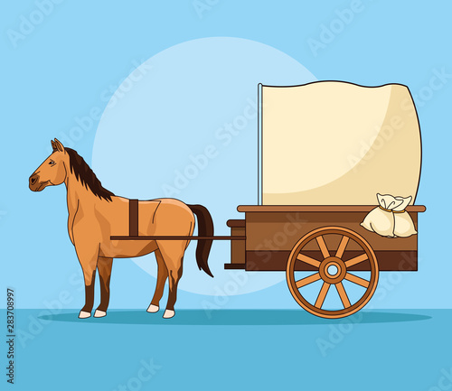 Horse with antique carriage vehicle