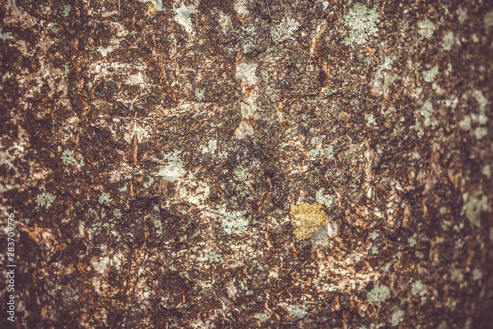 Gray stone wall background, stone background Gray stone wall background, stone background