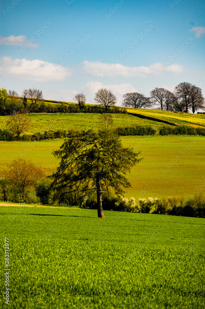 Obraz premium cotswold landscape gloucestershire england uk