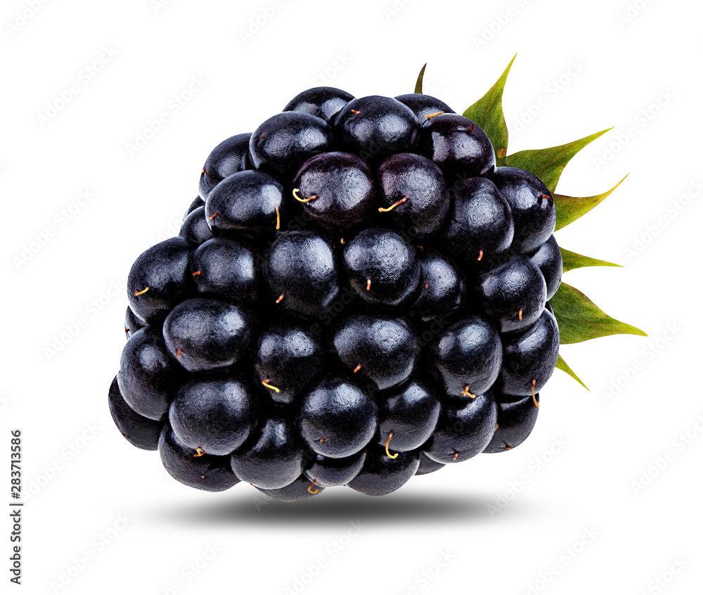 Fresh blackberry isolated on white background with clipping path Fresh blackberry isolated on white background with clipping path