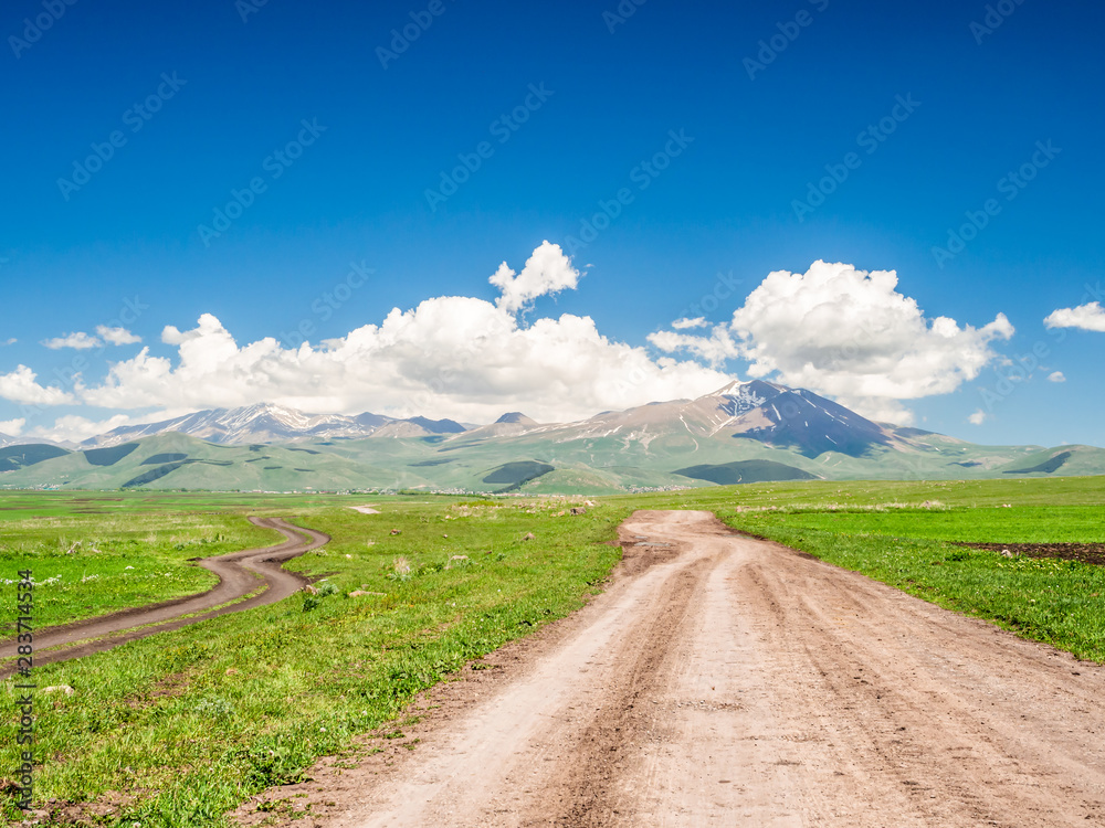Fototapeta premium Two dirt roads winding into the distance where snowy mountains stand