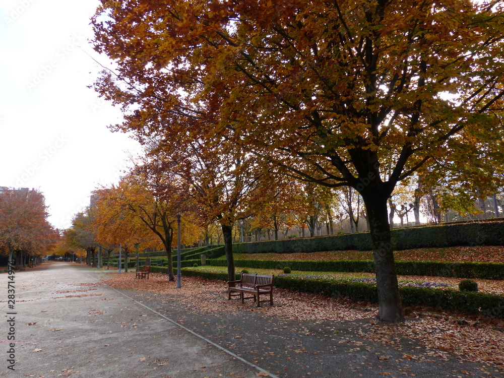 Banco en el parque con árboles en otoño