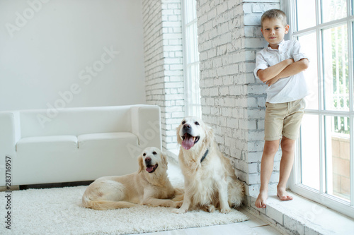 A child with a dog. Beautiful boy at home with a dog. 