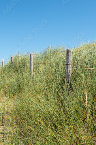 Dünen an der Nordsee