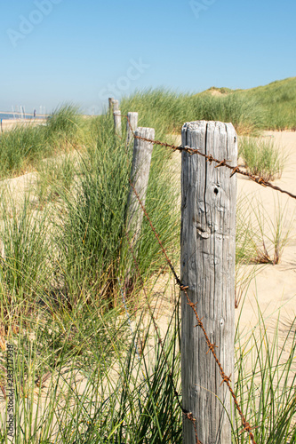 Dünen in Bloemendaal