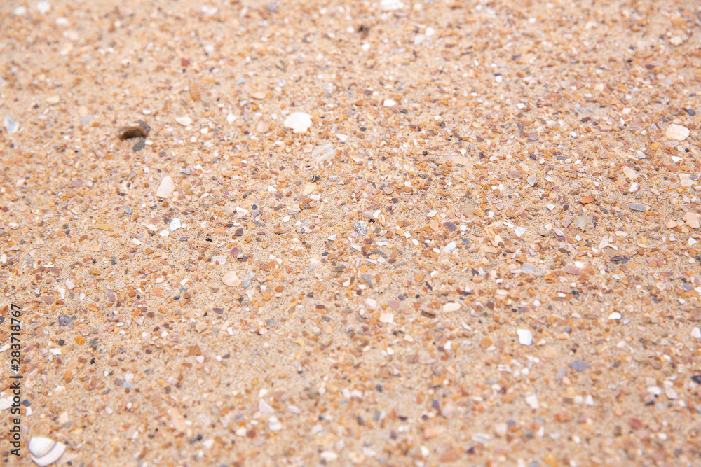 sable
