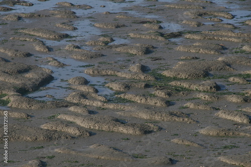 Mud flat. When the sea water escapes during the ebb tide, it exposes a wide, flat ground