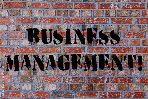 Text sign showing Business Analysisagement. Business photo text research discipline identifying needs determining Brick Wall art like Graffiti motivational call written on the wall