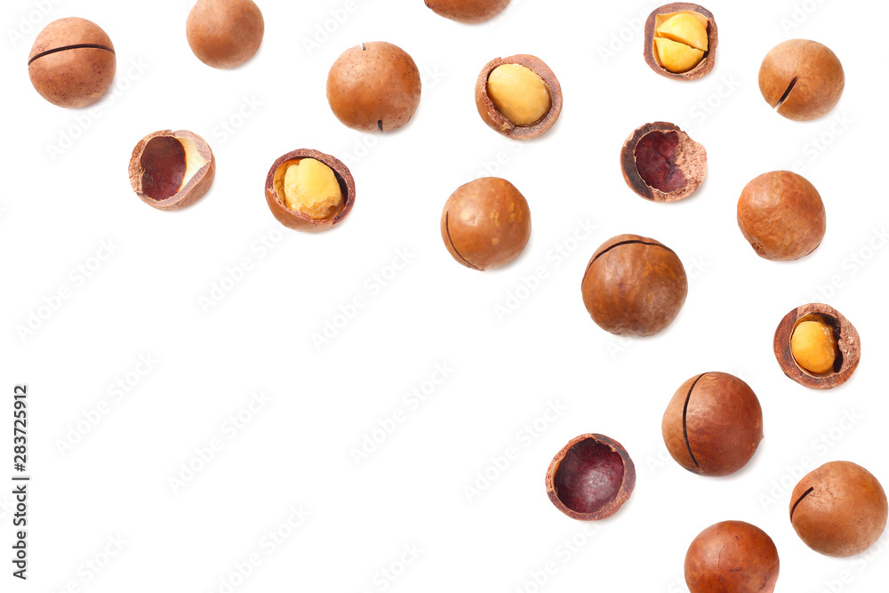 Macadamia nut isolated on a white background. top view Macadamia nut isolated on a white background. top view