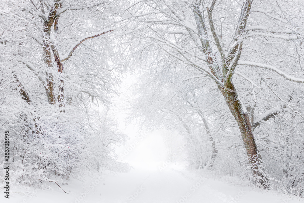 Winterweg Winterweg