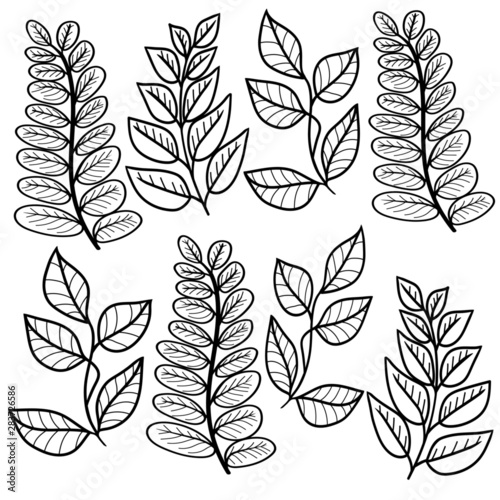branch leaves graphic vector line stroke coloring sketch doodle