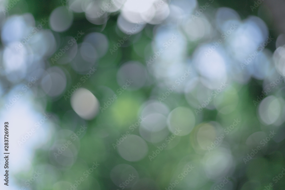 Bokeh blur background image Bokeh blur background image