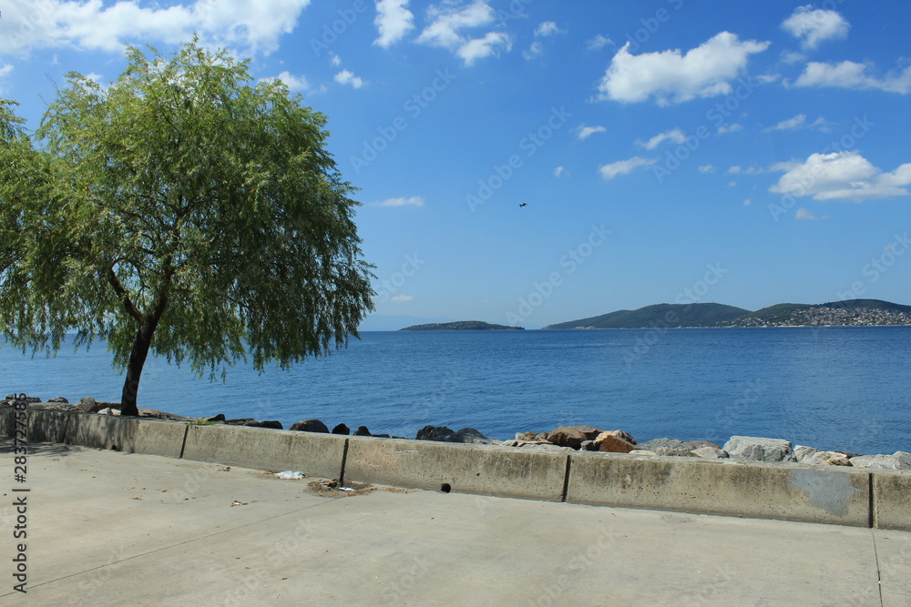 Fototapeta premium sea