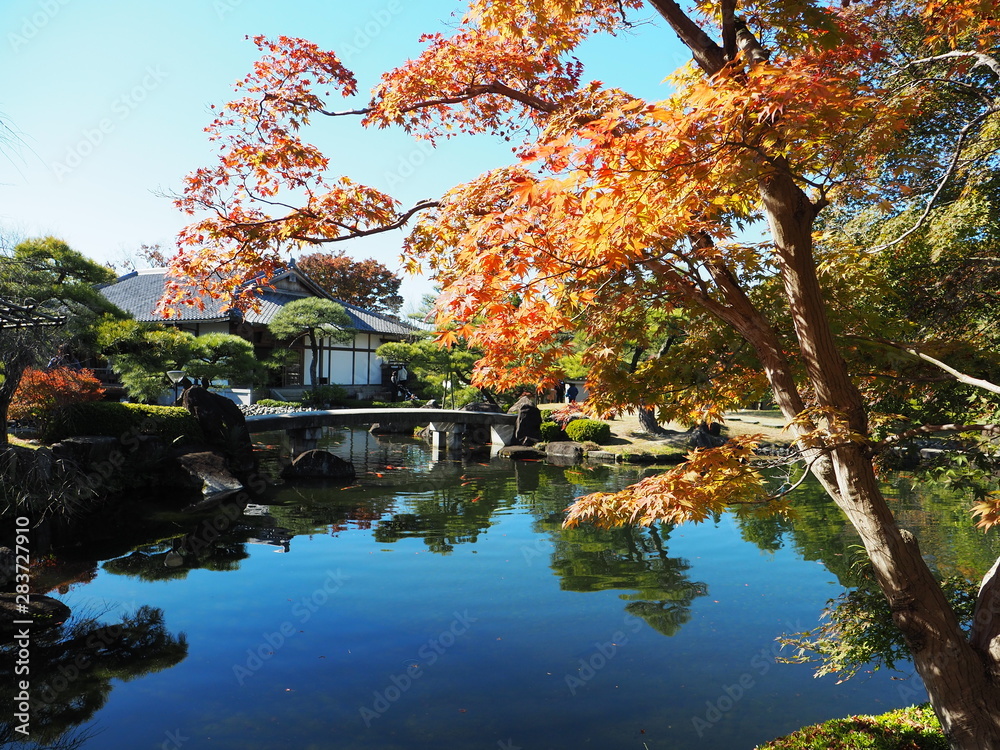 Obraz premium 好古園の紅葉（兵庫県姫路市）
