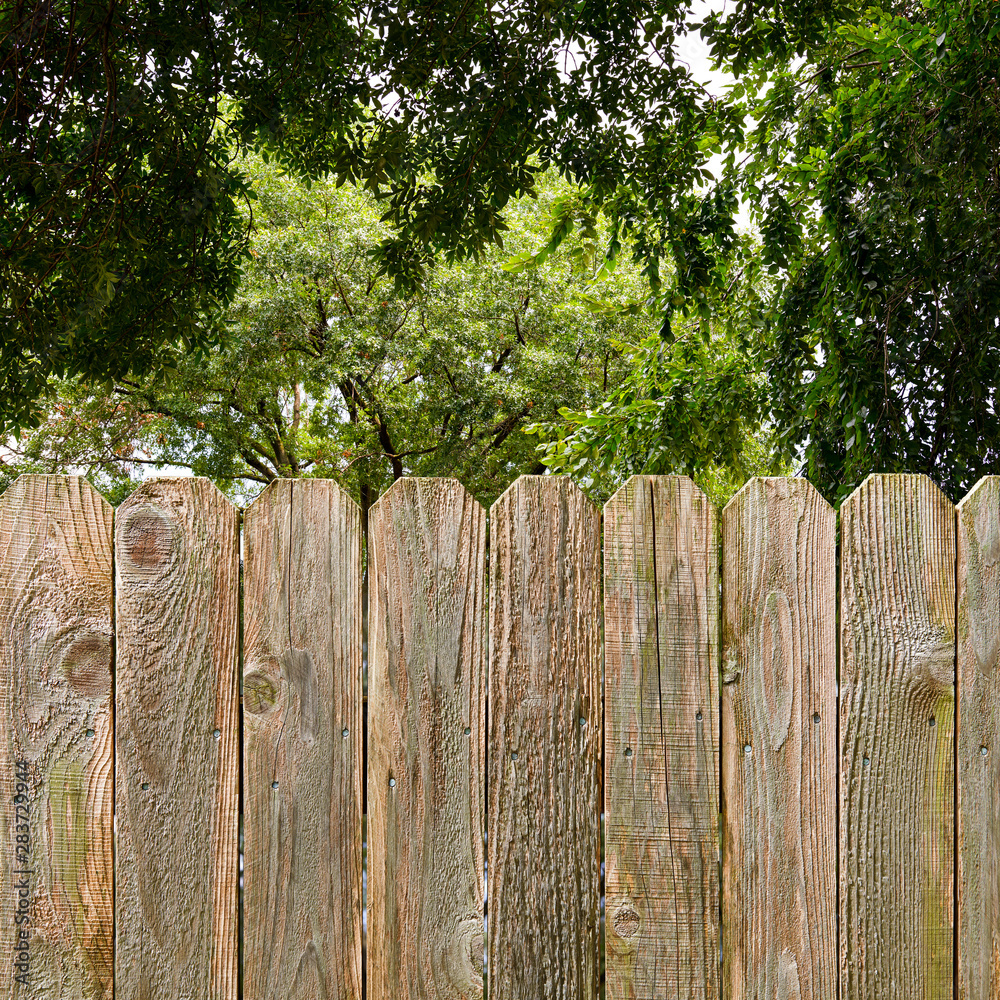 Privacy and security provided by a rustic wood backyard fence with green shade trees background Privacy and security provided by a rustic wood backyard fence with green shade trees background