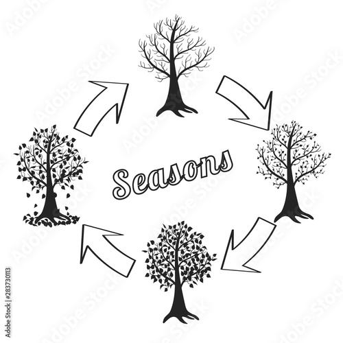 Type of tree at different times of the year. Sketchy vector image.