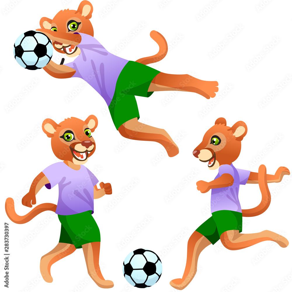Three cougars as the footballers in uniform in dynamic poses with the soccer ball