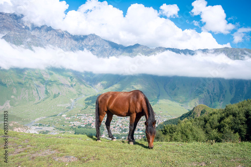 Reisen in den Kaukasus Bergen