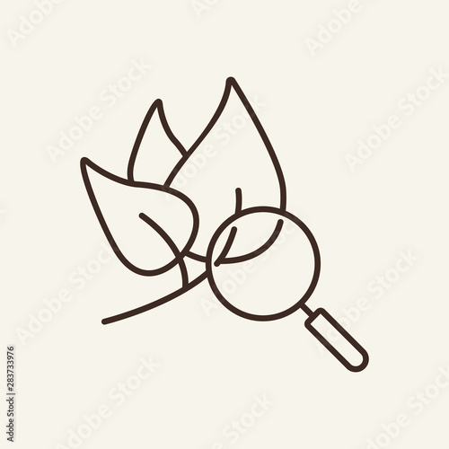 Eco magnifier line icon
