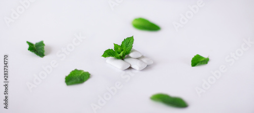 Close-up of the two pads of the chewing gum lies on the mint leaves with a lot of the mint leaves on the light background.