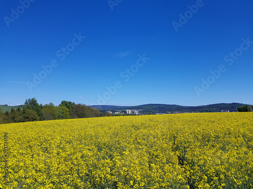 Landschaft  Taunus  Hessen