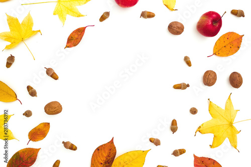 Autumnal frame composition. Fall leaves, apple, pine cones on white background. Autumn, thanksgiving concept. Flat lay