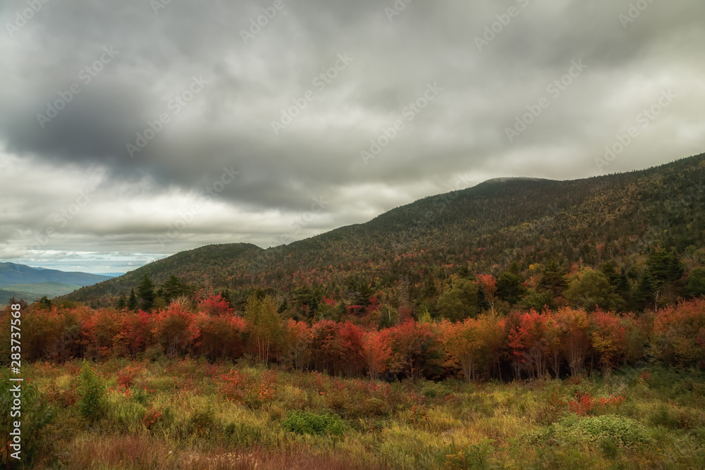 Mountains overgrown with deciduous forests and colorful variegated autumn trees.White Mountain National Park. USA. New Hamshire.  