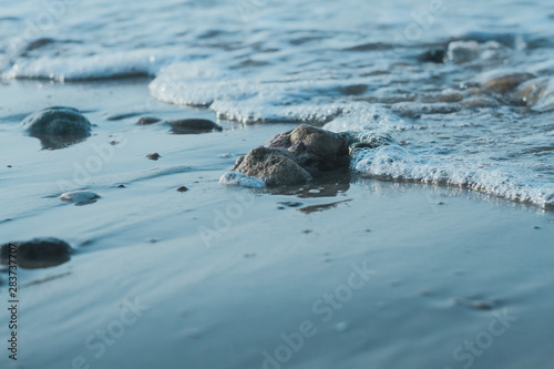 the small waves on the beach photo